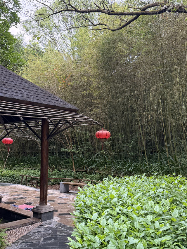 惠州溫泉|地派溫泉真的戳中我心巴了 惠州溫泉|地派溫泉真的戳中我心巴了