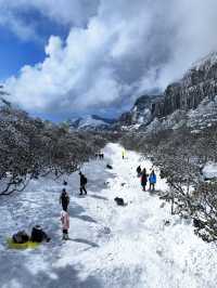 冬日昆明必打卡