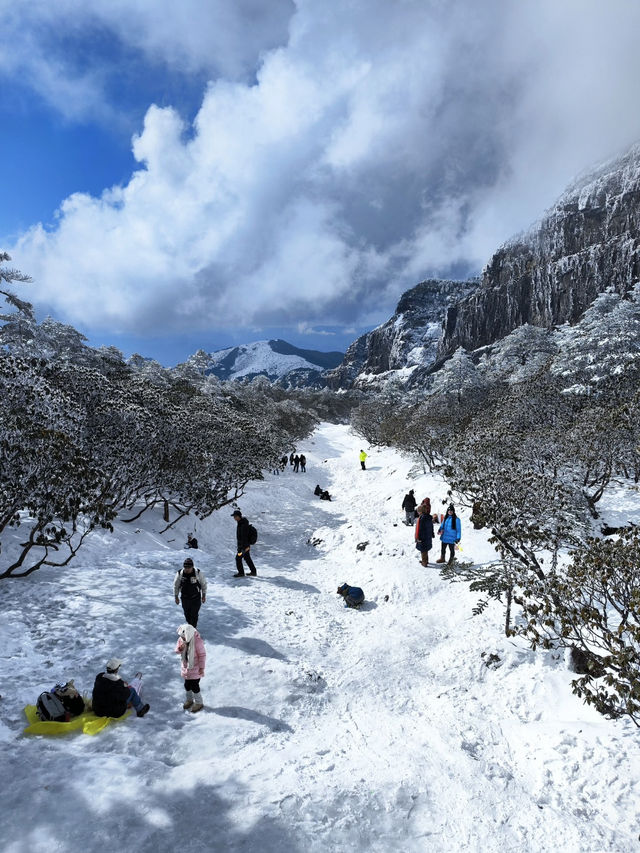 冬日昆明必打卡 冬日昆明必打卡