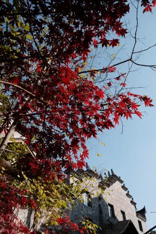 How many places in Xixi Wetland have I yet to explore?