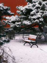 北方限定浪漫!瀋陽的雪景封神了