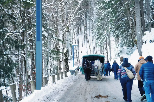 一個人遊德瑞6天:從秋天到冬天也太美了吧 一個人遊德瑞6天:從秋天到冬天也太美了吧