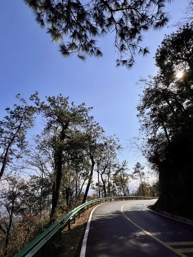 南昌周邊|九江雲居山的千年銀杏 滿樹金黃 南昌周邊|九江雲居山的千年銀杏 滿樹金黃