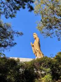 江浙滬普陀山太適合週末了!