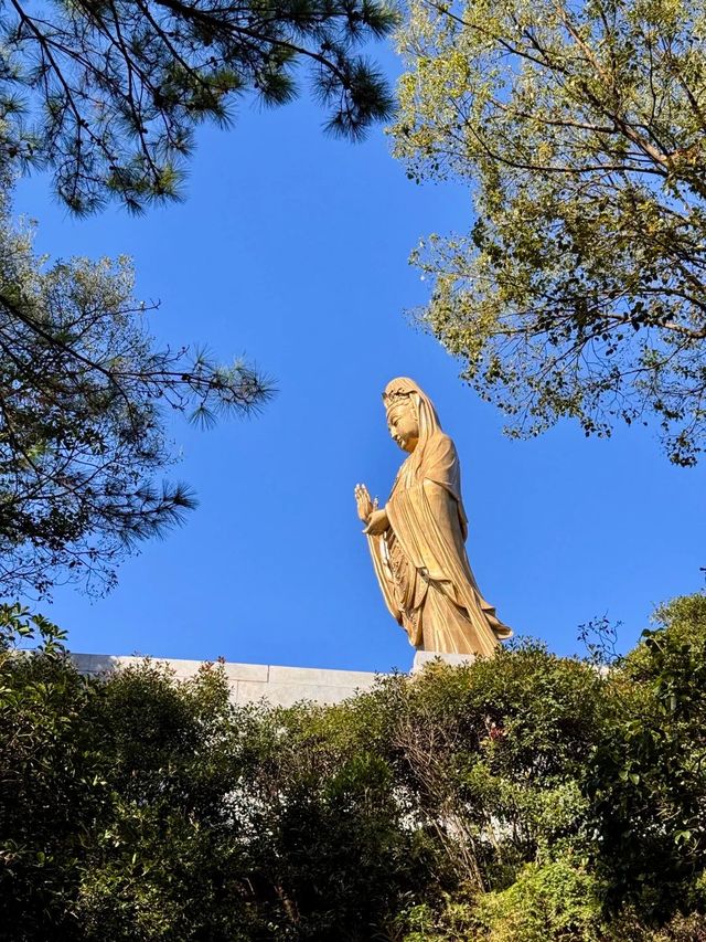 江浙滬普陀山太適合週末了! 江浙滬普陀山太適合週末了!