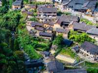 江浙滬賞秋好去處!小眾遊玩地雲和梯田,秋意濃~