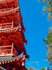 秋天的虞山公園真的太美了！