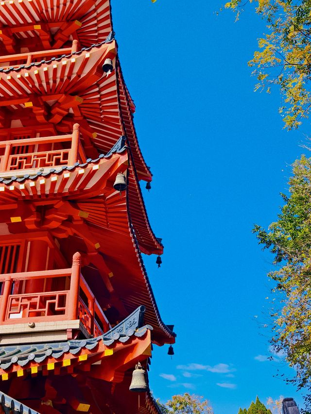 秋天的虞山公園真的太美了！