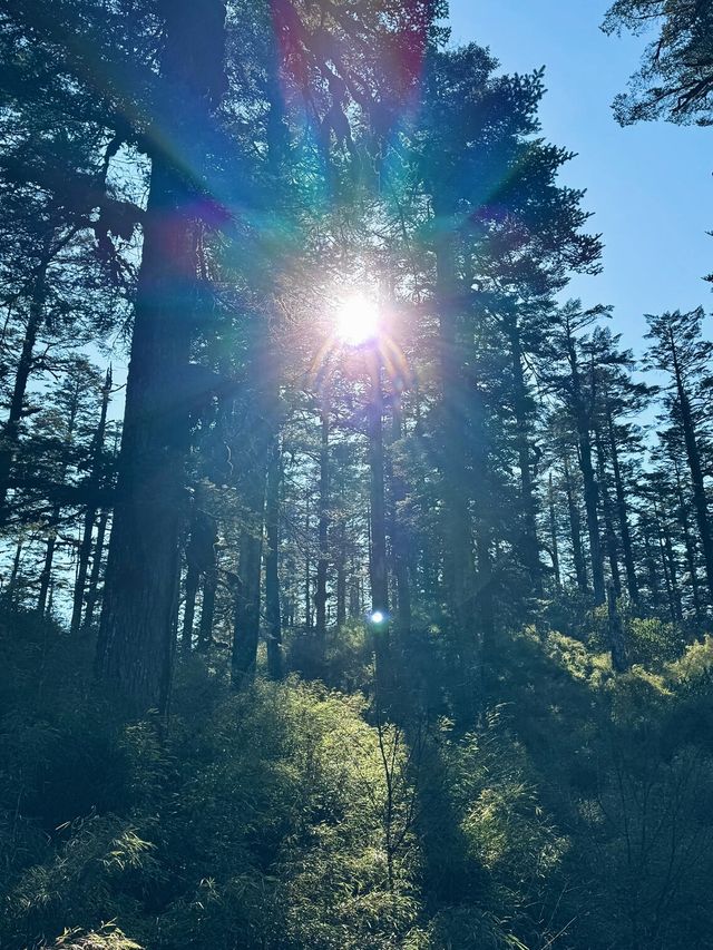 亞洲最大桌山瓦屋山雲海全攻略沒下雪也絕美 亞洲最大桌山瓦屋山雲海全攻略沒下雪也絕美