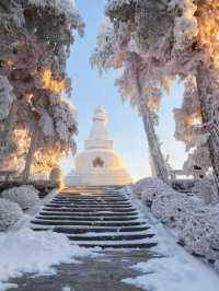 南方小夥伴12月都去廬山看雪2天1夜最全攻略!