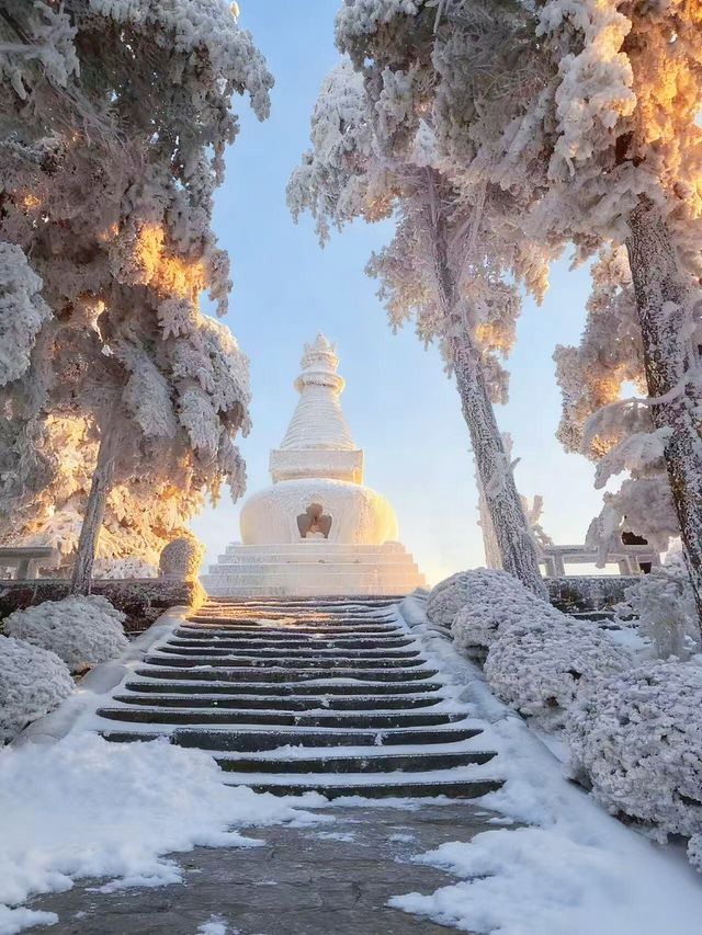 南方小夥伴12月都去廬山看雪2天1夜最全攻略! 南方小夥伴12月都去廬山看雪2天1夜最全攻略!