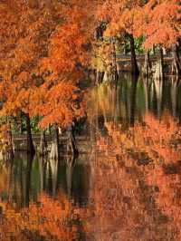 江蘇人嘴真嚴,這麼美的地方藏著不說~