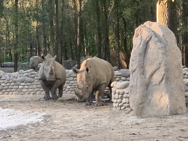 北京大興野生動物園-值得N刷