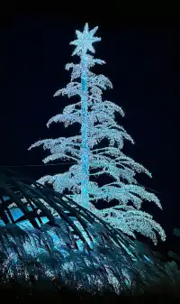 阿那亞童話月精簡攻略2025.11.28-2026.1.3