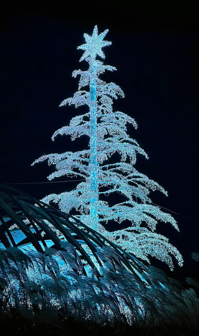 阿那亞童話月精簡攻略2025.11.28-2026.1.3 阿那亞童話月精簡攻略2025.11.28-2026.1.3