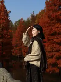 12.1明孝陵實況,落羽杉美到失語了