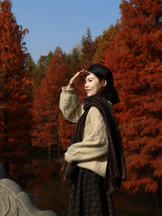 12.1明孝陵實況,落羽杉美到失語了 12.1明孝陵實況,落羽杉美到失語了