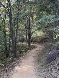 景美人少徒步徑｜梧桐寨+大帽山