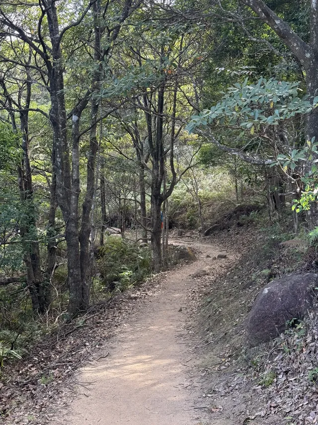 景美人少徒步徑｜梧桐寨+大帽山