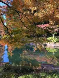 東郊秘境直出！比西郊美10倍的live級秋日畫冊