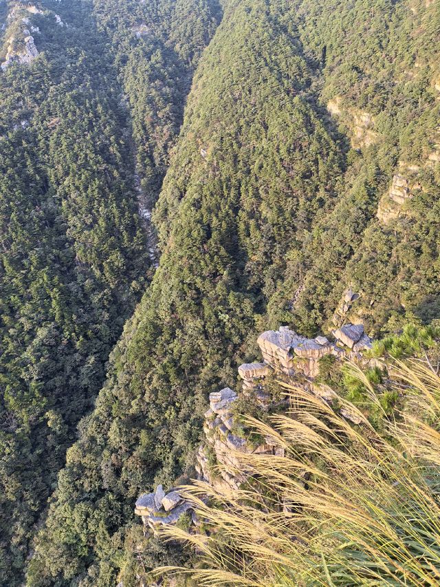 無限風光在險峰！