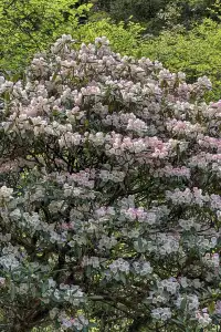 江西三日，三清山美到失語