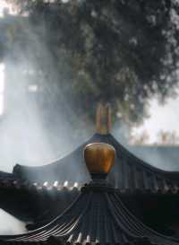 陝西！西安千年古寺銀杏絕美