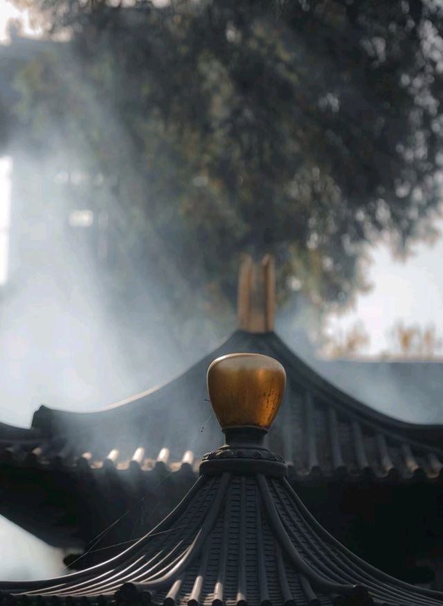 陝西！西安千年古寺銀杏絕美