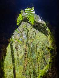 徒步在真正的天然氧吧之中~