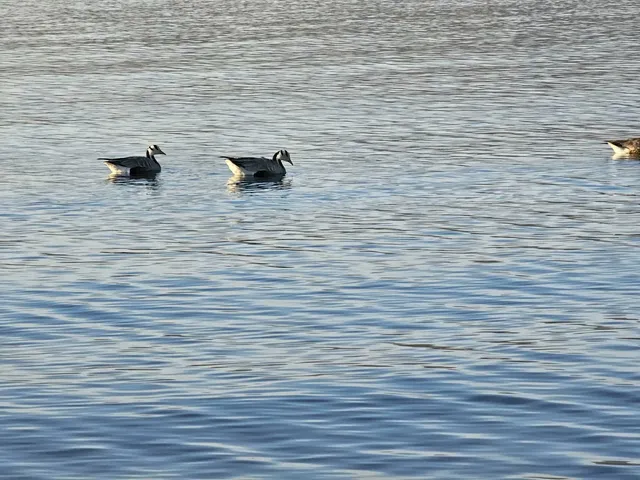 黑馬河日出 早起的人贏麻了! 黑馬河日出 早起的人贏麻了!