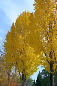 記錄在西安非常喜歡的一些地方