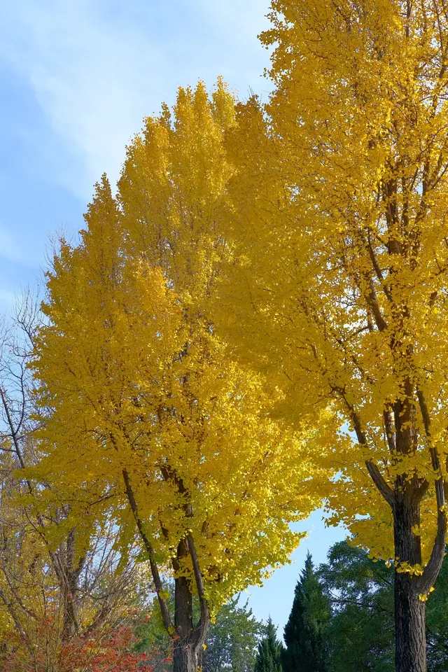 記錄在西安非常喜歡的一些地方 記錄在西安非常喜歡的一些地方