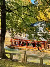 蘇州|西園寺已進入秋季最佳觀賞期