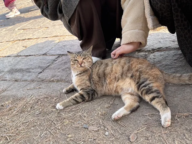 關於大連的初冬記憶 關於大連的初冬記憶