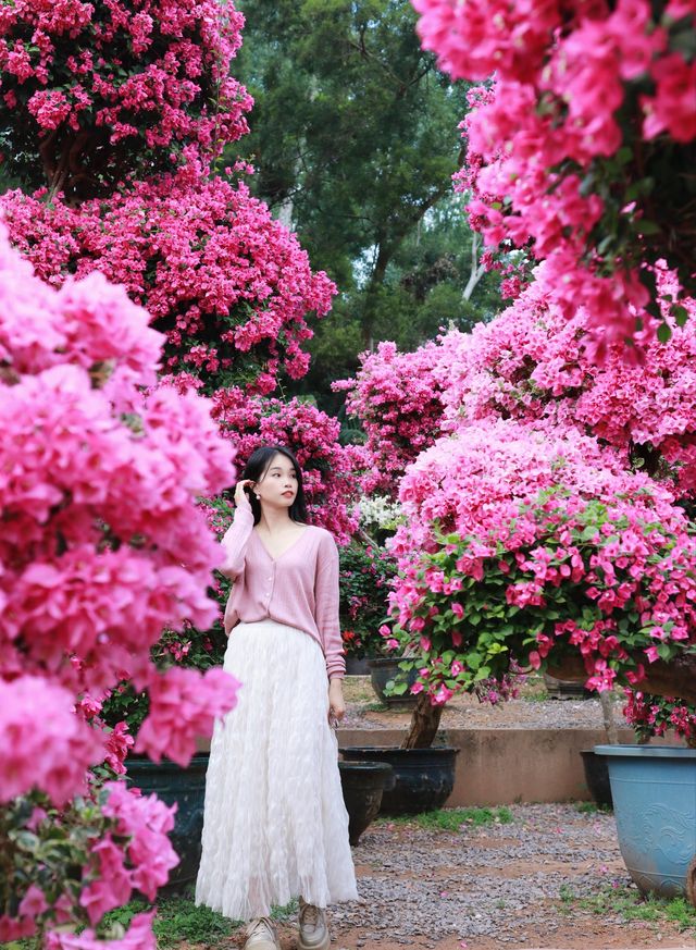 這裡風景獨好 這裡風景獨好