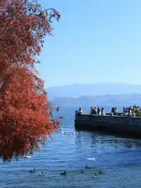 大理旅行 ｜龍龕碼頭入口這個機位太美了吧