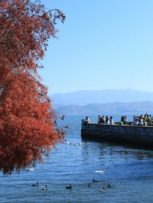 大理旅行 ｜龍龕碼頭入口這個機位太美了吧