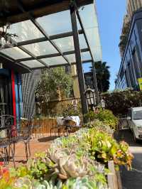 滇池看海鷗！人均100+設計型剛退滿意離