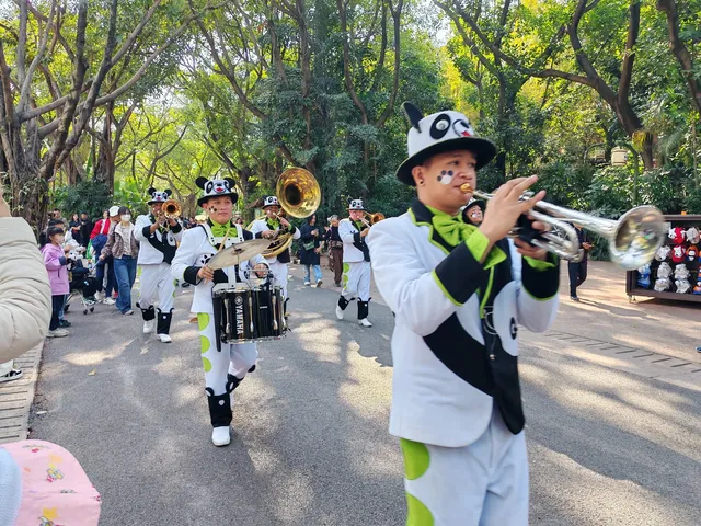 普通票廣州長隆大馬戲C位攻略 普通票廣州長隆大馬戲C位攻略