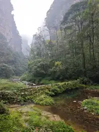 從張家界回來!美到失語!!!