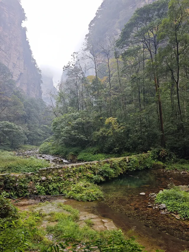 從張家界回來!美到失語!!! 從張家界回來!美到失語!!!