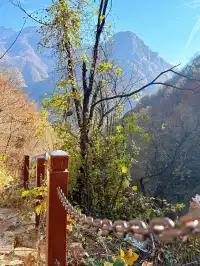 西安遛娃爬山推薦-藍田蓮花山人少不累
