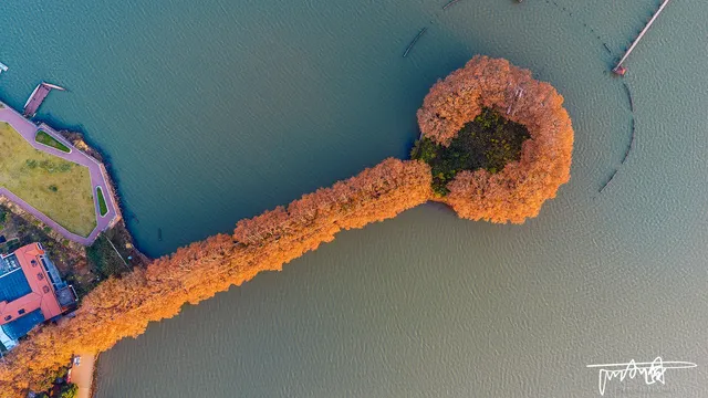 武漢秋天的「金鑰匙」被我找到了！