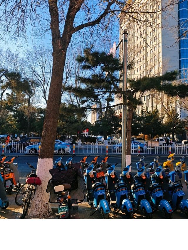 Tongliao Urban Vibes✨ Tongliao Urban Vibes✨