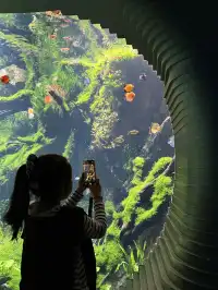 三生三世｜上海溫室花園 人少篇