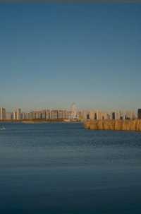 褪去夏日的喧囂，擁抱冬日的詩篇：晉陽湖蘆葦蕩