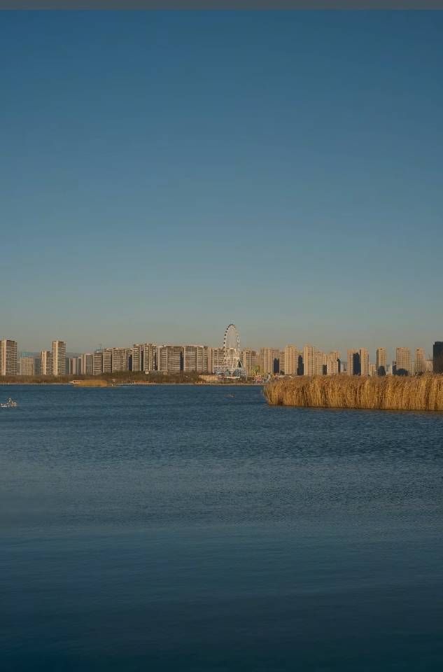 褪去夏日的喧囂，擁抱冬日的詩篇：晉陽湖蘆葦蕩