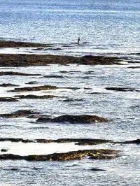 大連傅家莊的落日熔金