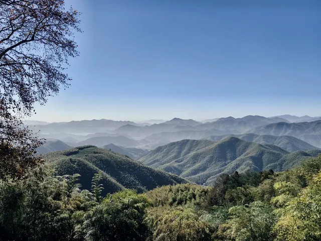 週末玩轉湖州莫干山 and 下渚湖濕地公園