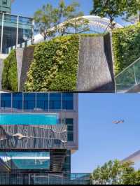 沒想到被它的親子友好屬性圈粉了！